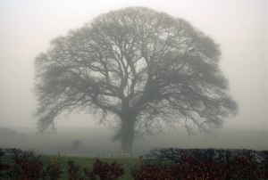 © Copyright Colin Kinnear and licensed for reuse under this Creative Commons Licence